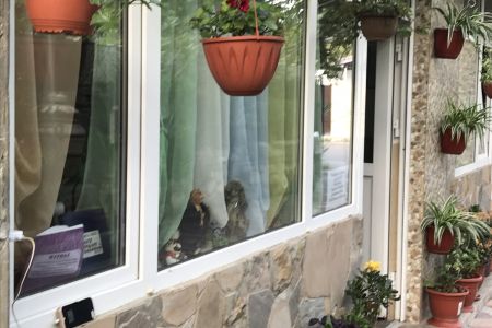 Территория