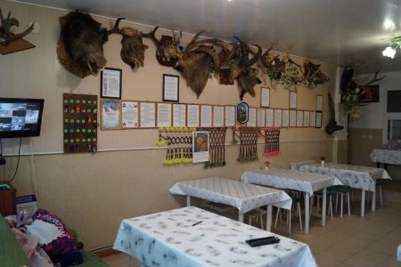 Внешний вид