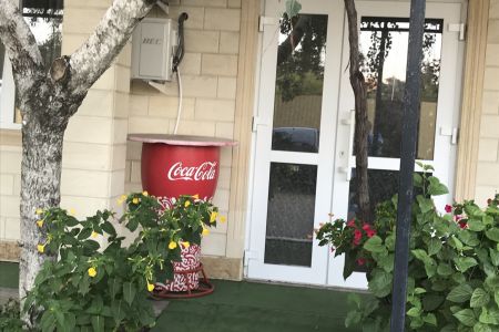 Внешний вид