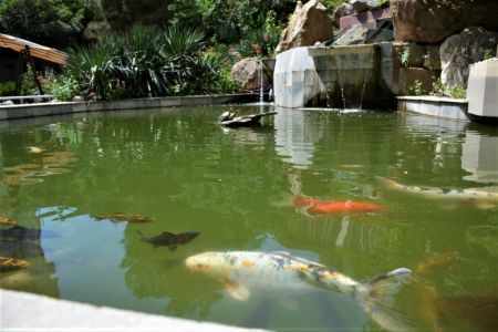 «Полет» дом отдыха