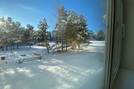 Внешний вид 2023