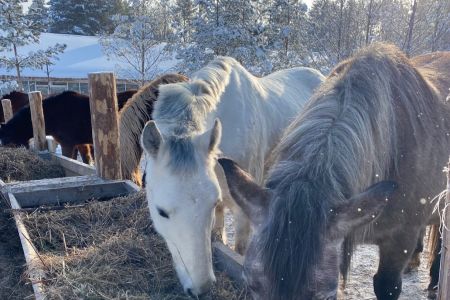 Внешний вид 2023