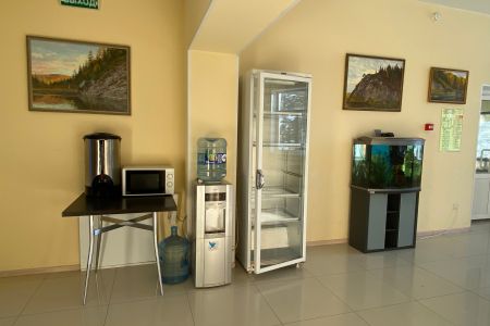 Внешний вид 2023