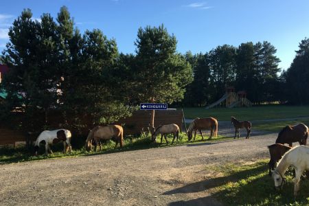 Внешний вид 2023