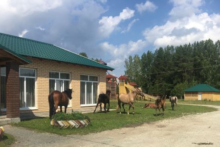 Внешний вид 2023