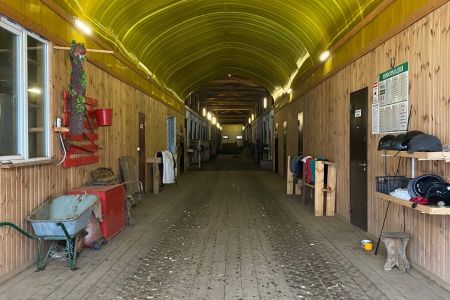 Внешний вид 2023