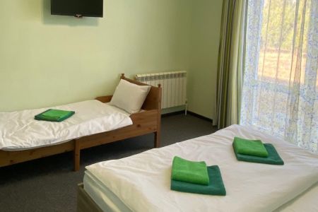 Стандарт Семейный