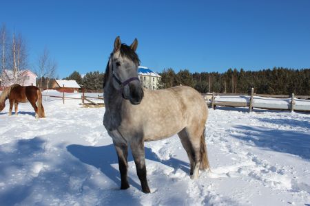 Внешний вид 2023