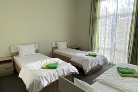 Стандарт Дабл