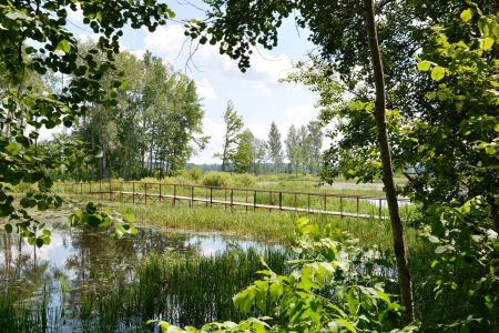 Территория