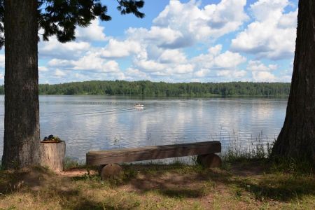 Территория