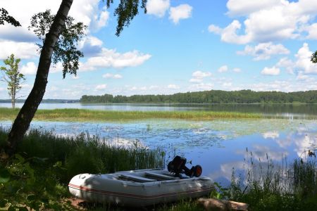 Территория