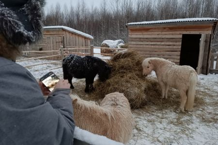 Изба русская