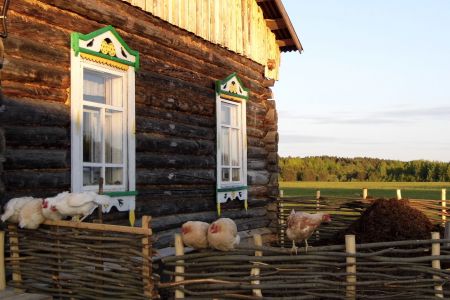 Золотая подкова