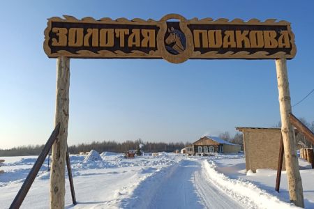 Изба русская