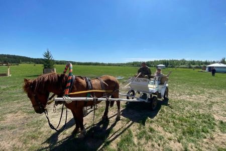 Золотая подкова