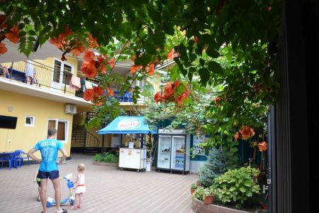 Вид на здание