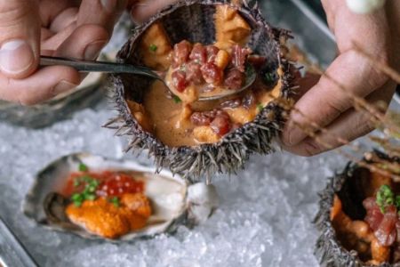 Внешний вид