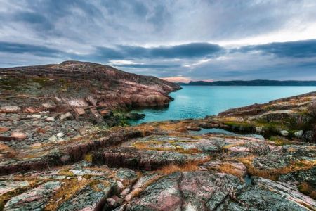 Внешний вид