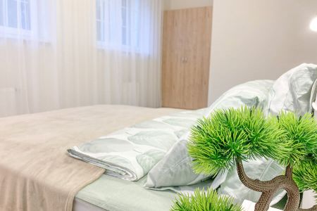 Апартаменты 2-местные (№15)