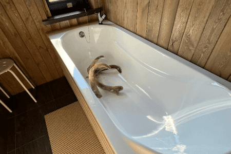 Терра Алтая