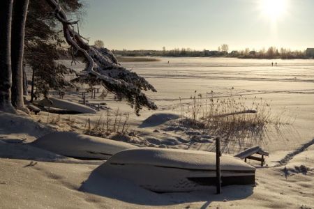 Внешний вид