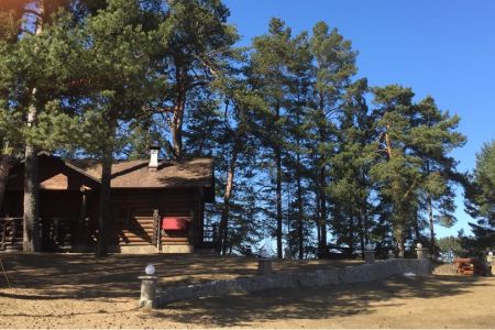 Внешний вид