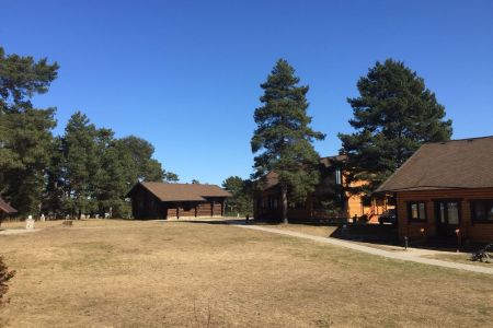 Внешний вид