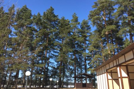 Территория