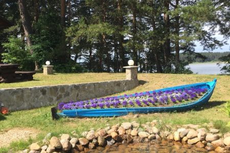 Внешний вид