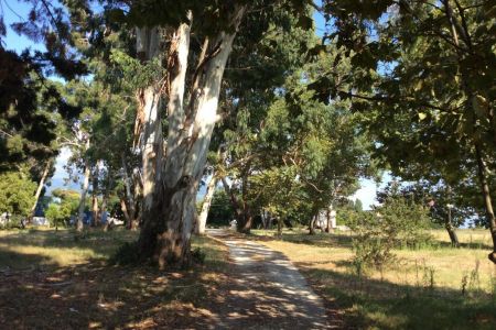 Внешний вид. Корпус 2