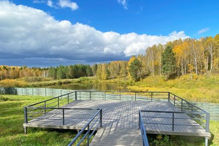 Бобровое внешний вид
