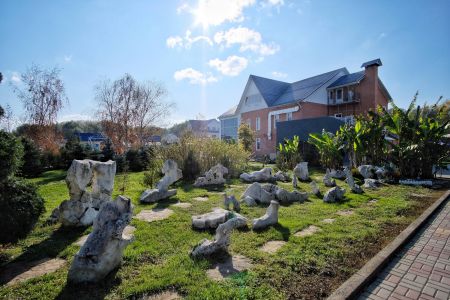 Территория летом