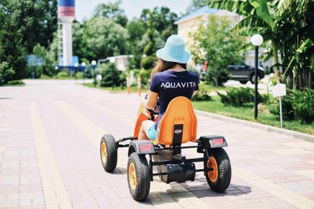 Территория летом