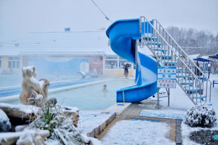 Территория летом