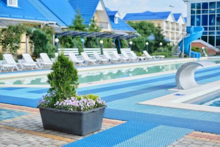 Территория летом