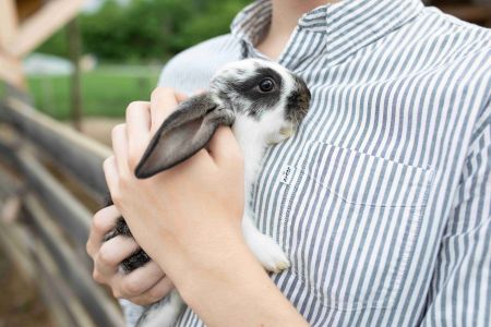 Летние беседки