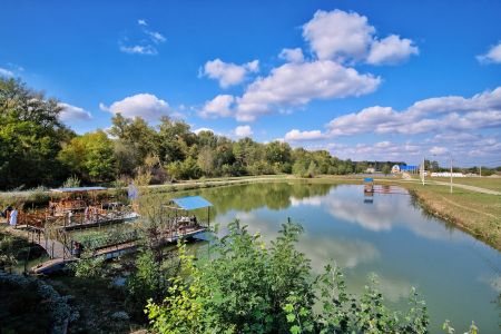 Летние беседки