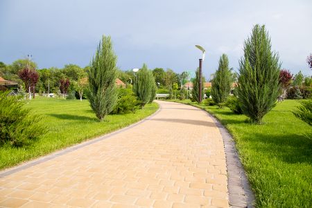 Внешний вид