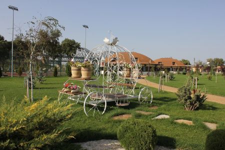 Внешний вид