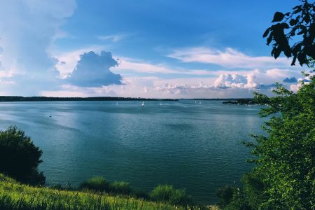 Лесная сказка