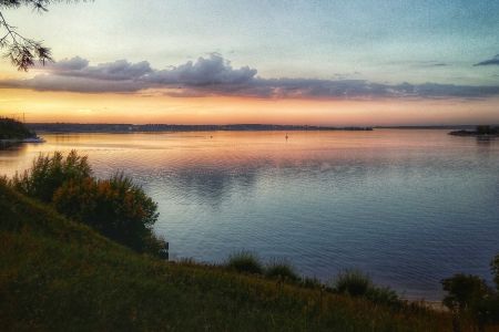 Лесная сказка