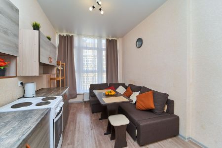 Шикарные апартаменты у парка Галицкого 4