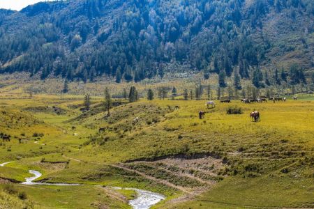 Агротуркомплекс