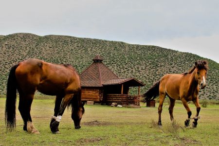 Агротуркомплекс