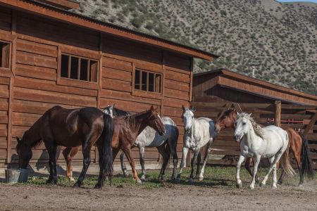 Агротуркомплекс