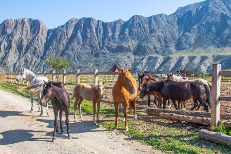 Агротуркомплекс