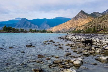 Агротуркомплекс