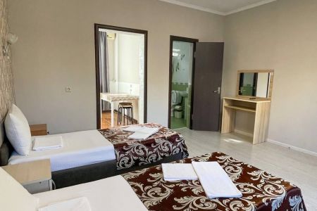 Апартаменты 4-местные (с диваном)