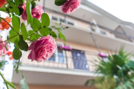 Апартаменты 4-местные (с диваном)